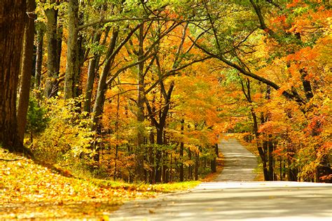 Fall Leaves 12 Stunning Weekend Foliage Tours Beyond Words