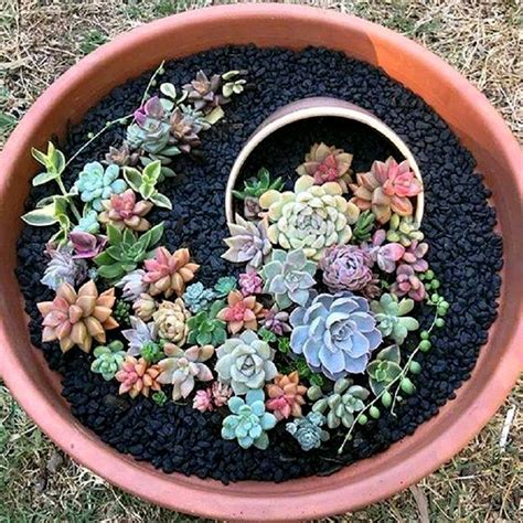 How To Make An Artistic Succulent Dish Garden With Images Succulent