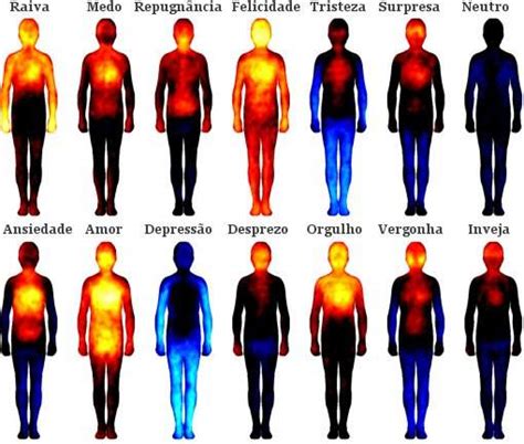 Mapa Das Emoções Relaciona áreas Do Corpo Com Cada Emoção