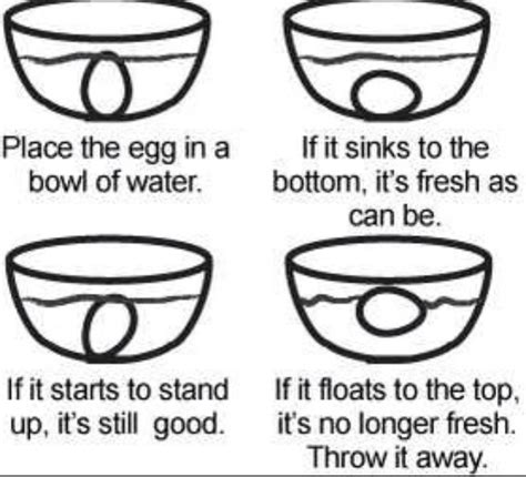 How To Tell If Your Egg Has Gone Bad Musely