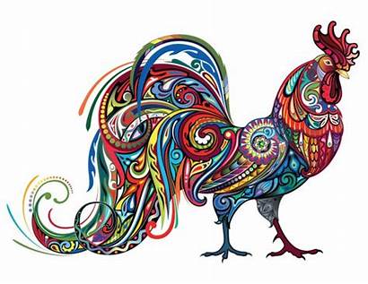 Rooster Vector Cockerel Animal Chicken Farm Illustration