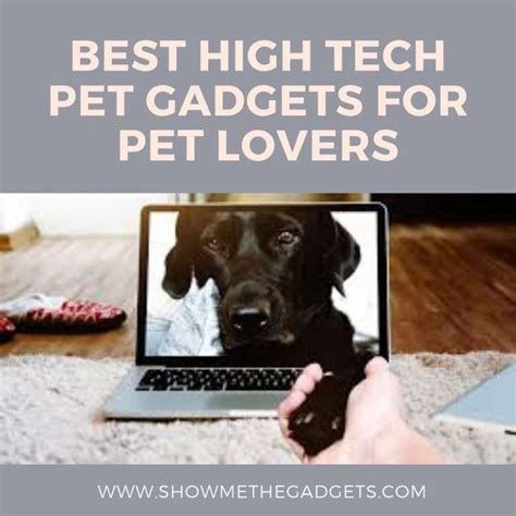 Best High Tech Pet Gadgets For Pet Lovers