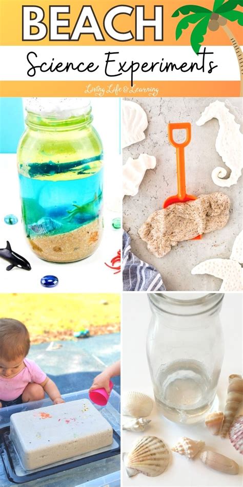 Beach Science Experiments