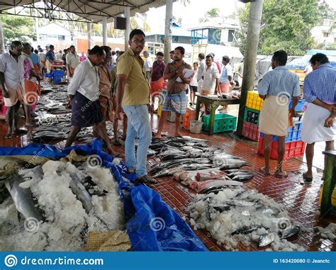 Local Fish Market In Small Remote Village In Kerala Editorial Image