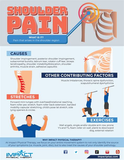 Best Physical Therapy Exercises For Shoulder Pain Tutor Suhu