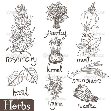 See more ideas about embroidery, embroidery patterns, embroidery designs. Pin by Stephanie Altenhofel on Pallet Art/Ideas | Herbs ...