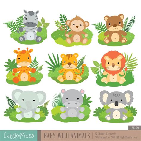 Baby Wild Animals Digital Clipart Etsy Baby Wild Animals Safari