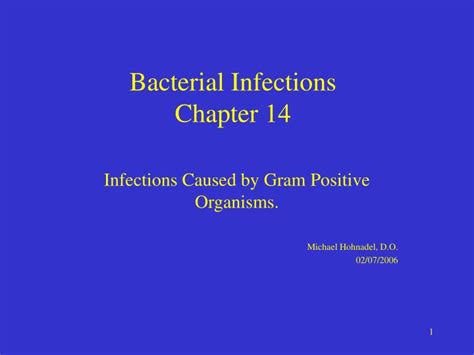 Ppt Bacterial Infections Chapter 14 Powerpoint Presentation Free Download Id 763351