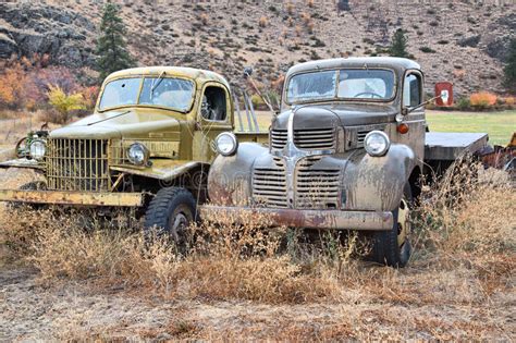 Classic Old Pickup Trucks Stock Photo Image Of Grass 27428292