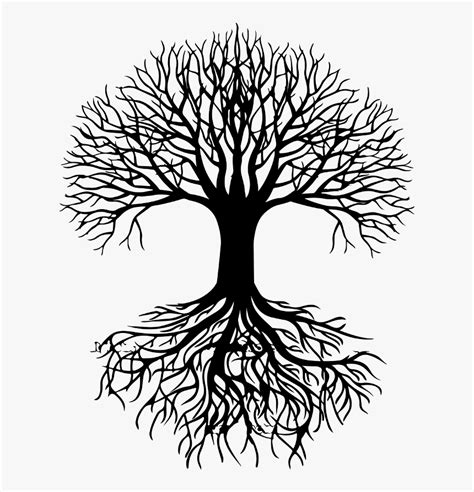 Tree Silhouette Root Clip Art Tree With Roots Silhouette Png