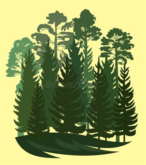 Forest Silhouette Landscape With Coniferous Trees Beautiful View