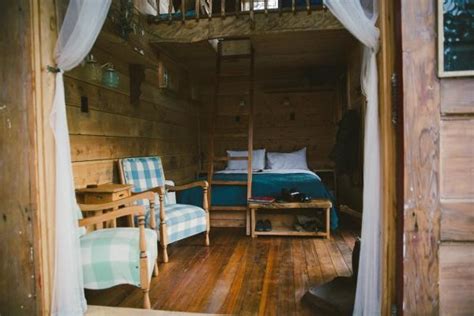 Tiny Log Cabin In New Zealand
