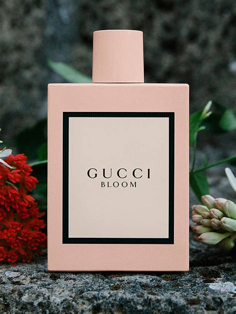 Gucci Bloom Perfume Excellence