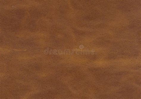 Brown Leather Texture Stock Photo Image Of Brown Floor 265893970