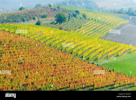 Piedmont Italy Langhe Roero And Monferrato In The Unesco World