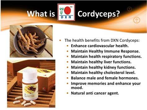 Cordyceps Health Benefits Naturalsexpower