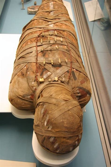 34 best 6th grade mummification images on pinterest classroom ideas ancient egypt crafts and
