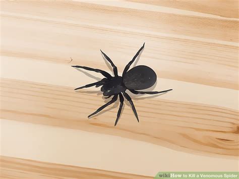 If you truly can't stand that spider in your house, apartment, garage, or wherever, instead of. 3 Ways to Kill a Venomous Spider - wikiHow