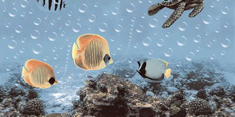 Browse our wall decor, modern wall décor, wall decorations. Atlantic Decor 4, Wall Tiles, 30x60 cm, Glossy