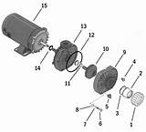 Sta-rite Dura-jet Spa Pump Parts Pictures