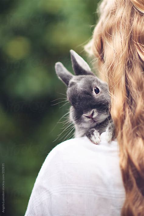 Teenage Girl With A Small Grey Rabbit By Angela Lumsden Stocksy United