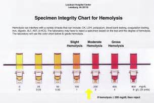 Factors Affecting Hemolysis Rates In Blood Samples Drawn From Newly