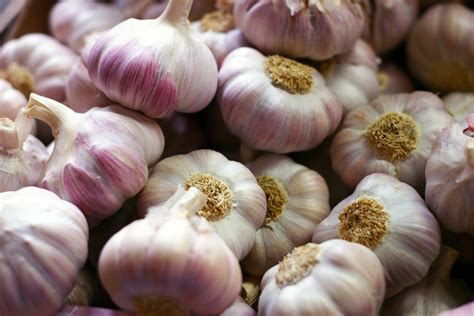Garlic Cloves The Delite