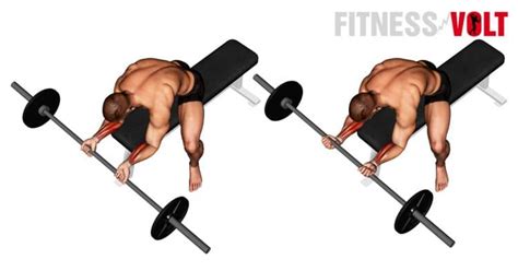 Barbell Wrist Curl How To Tips Variations And Video Guide