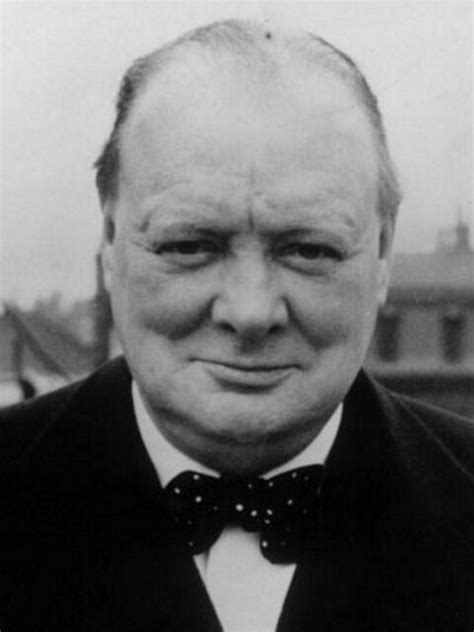 Churchill Un Géant Dans Le Siècle Streaming - Winston Churchill : un géant dans le siècle, un film de 2014 - Vodkaster