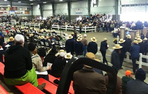 Impressive Size And Comfort Added To New Sale Barn At Mt Hope Auction