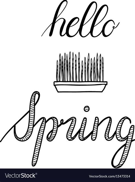 Hello Spring Calligraphy Hand Drawn Royalty Free Vector
