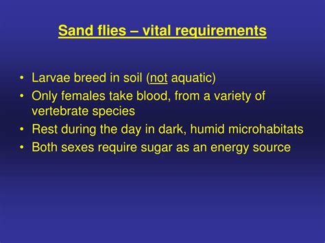 Ppt Biology Of Phlebotomine Sand Flies Diptera Psychodidae Powerpoint Presentation Id