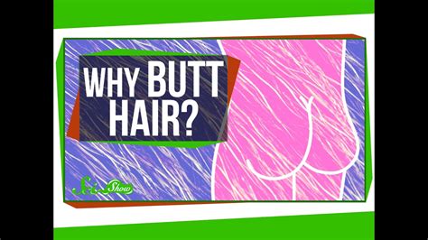 Why Do We Have Butt Hair Youtube