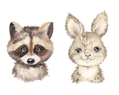 I want to introduce you my watercolor collection woodland animals. Woodland animals watercolor clipart. Forest cute animals ...
