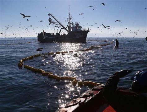 Modificaciones A La Ley De Pesca Destacan Avances Acuerdos Y Alcances
