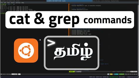 Using grep, you can search for useful . cat and grep command | Linux basics | தமிழ் - YouTube