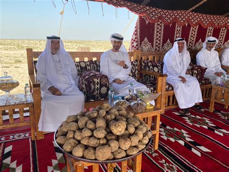 PICTURES HH Sheikh Khalifa Bin Zayed Visits Ghanadha Reserve Forest Construction Week Online