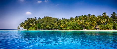 Maldives Beach Palm Trees Tropical Sea Sand Water