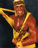 Image result for "Hulk Hogan"