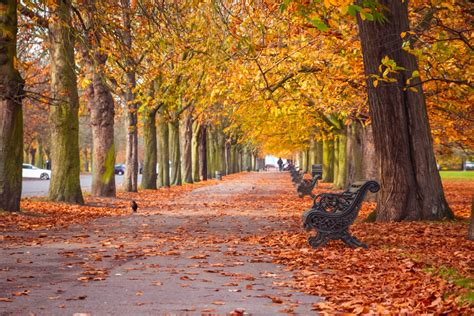 7 Of The Most Beautiful Autumn Walks In London