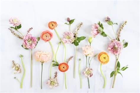 Digital Blooms By Justine Celina