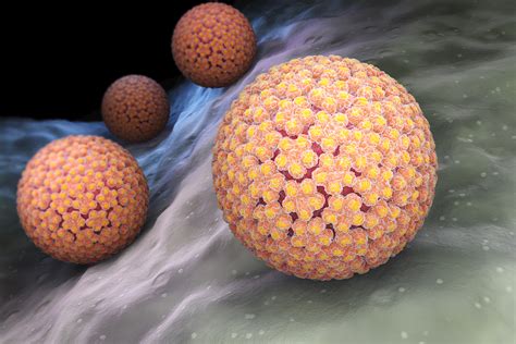 What Is Hpv Live Science