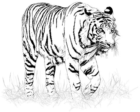 Électronique Sopposer Chambre photo de tigre à imprimer Aération