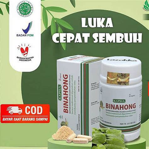 Jual Kapsul Ekxtrak Binahong Tazakka Herbal Obat Luka Dalam Dan Luar