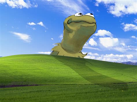 Download Wallpapers Download 1920x1440 Bliss Windows Xp Kermit The Frog Microsoft Windows The