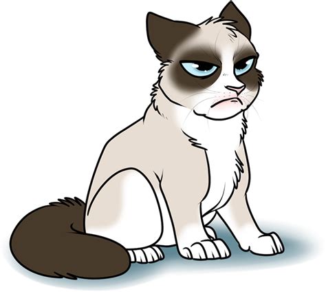 Grumpy Cat Meme Transparent Png Arts