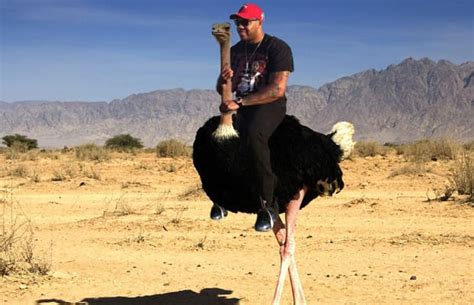 But regardless of where you find them, treat them with the utmost caution. Rappers Riding Ostriches | Complex