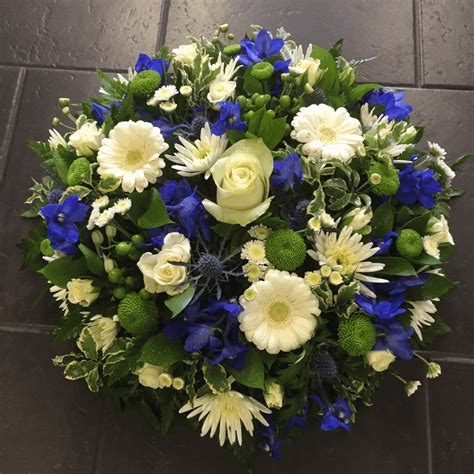 Blue And White Germini Posy Pad Susettes Flowers