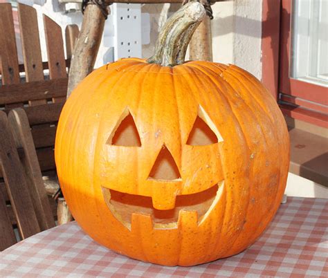 Last Minute Halloween Costume Ideas for All: Best ideas ...