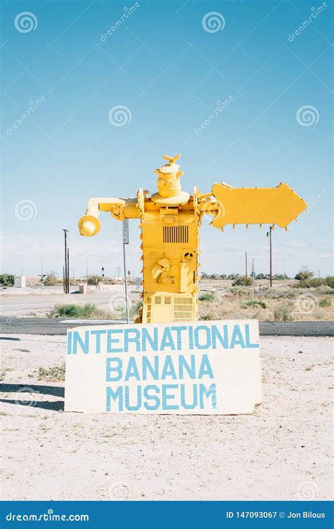 International Banana Museum Stock Photos Free And Royalty Free Stock